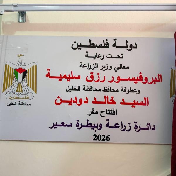 صورة رقم 4